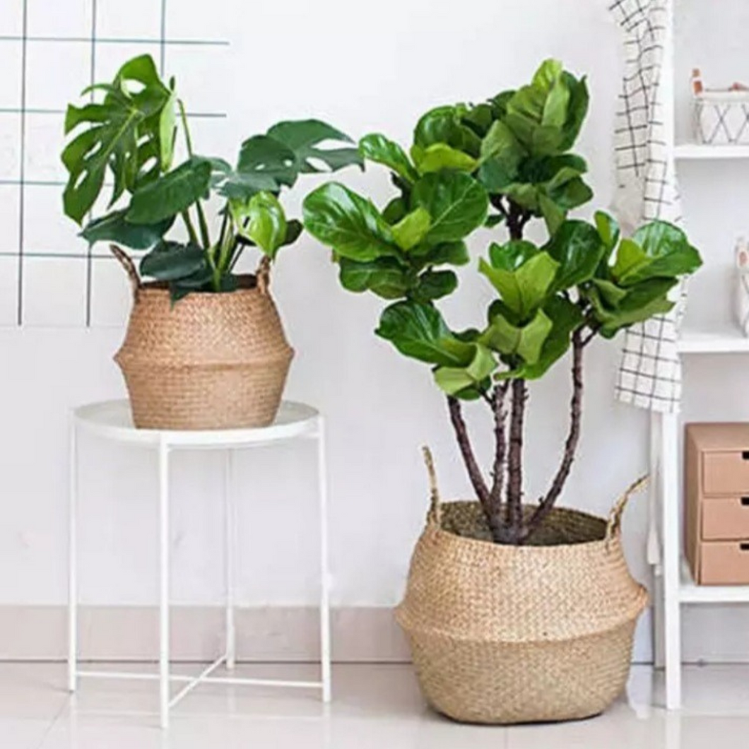 Rieten Opbergmand Zeegras Mand 28 cm x 32 cm x Ø 26 cm Planten Mand Kinderkamer Babykamer Decoratie